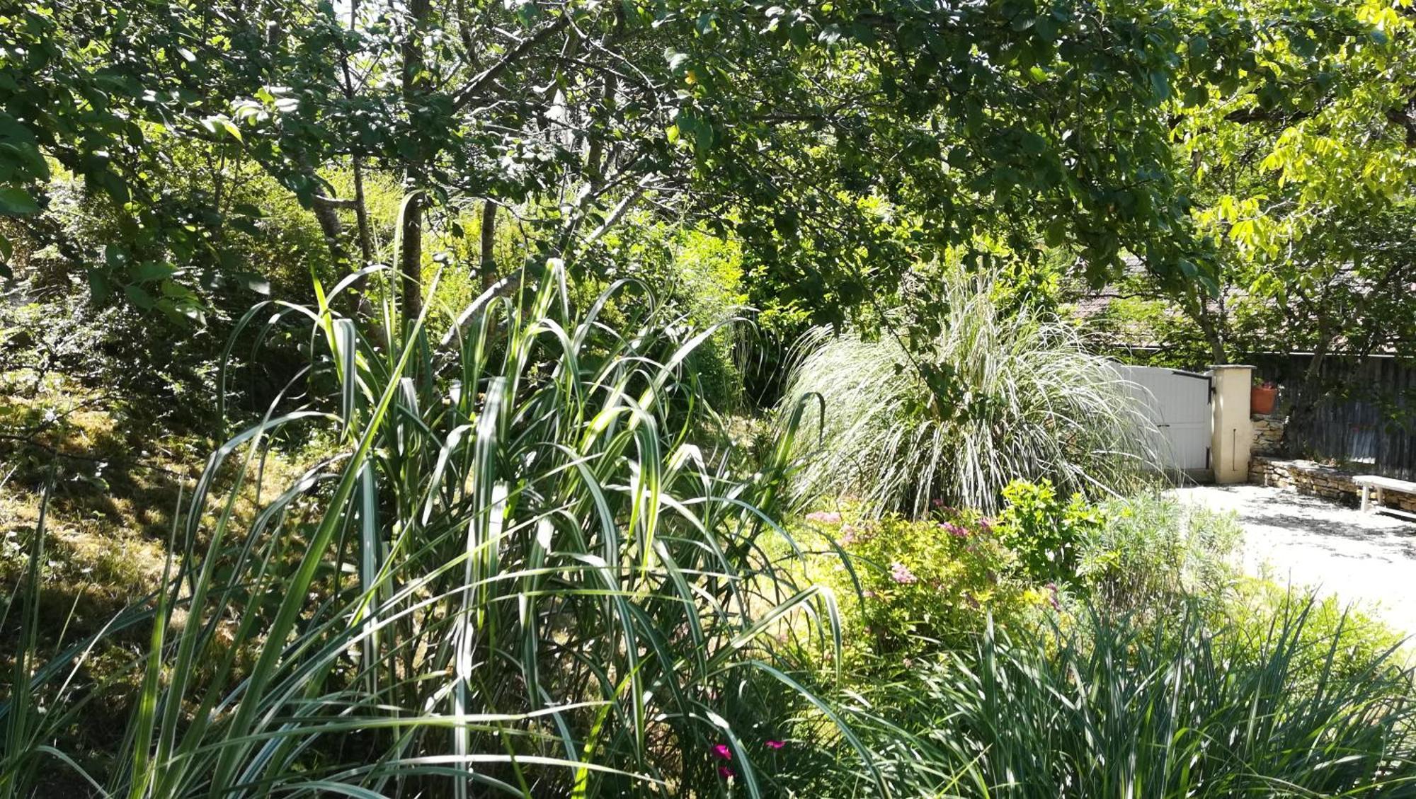 La Source Bed & Breakfast Saint-Cybranet Bagian luar foto